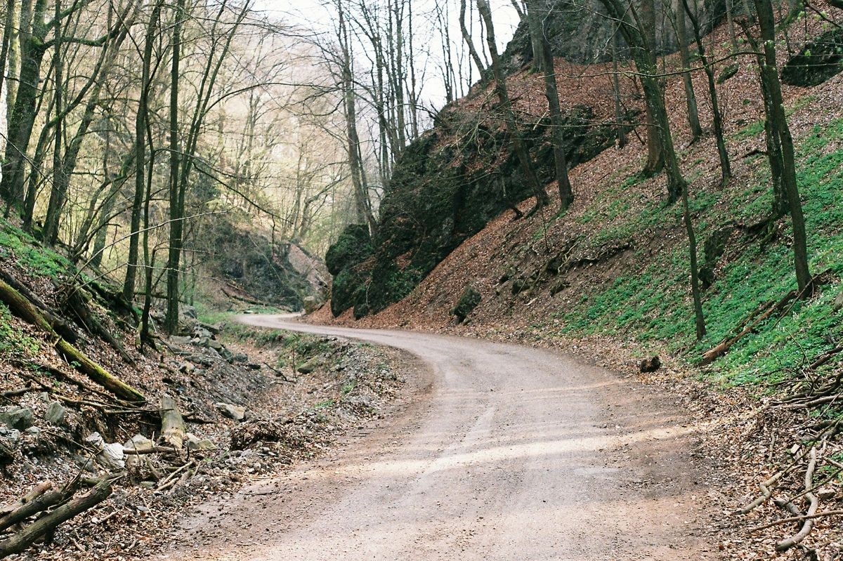 Snapshot of a dirt road.